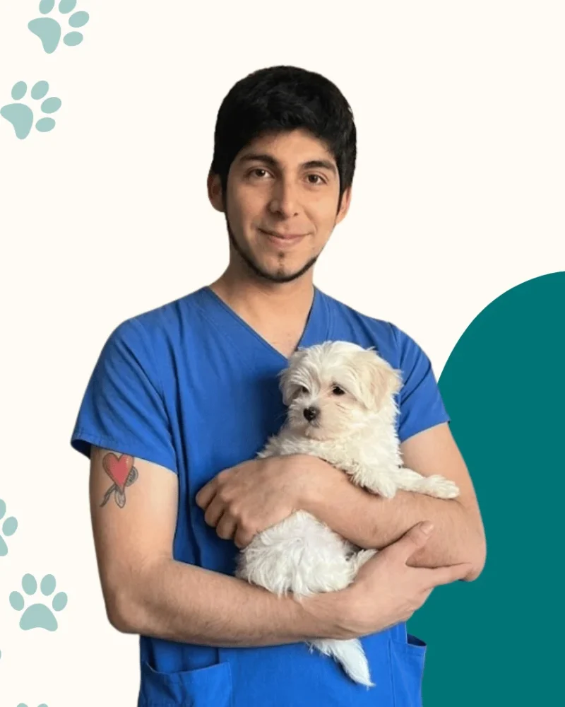Dr. Christian Houles Gonzalez​
