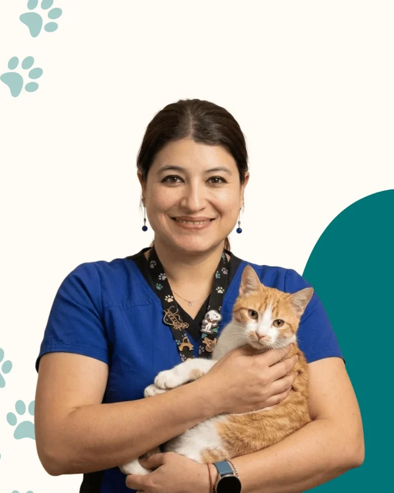 Dra. Daniela Pino Vargas​